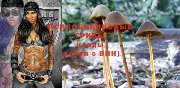 винт Майский