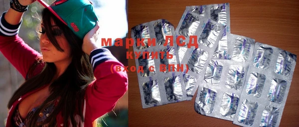 крисы Магас