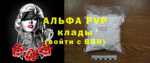 крисы Магас