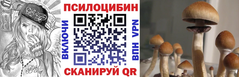 Галлюциногенные грибы MAGIC MUSHROOMS  Купить где  Химки